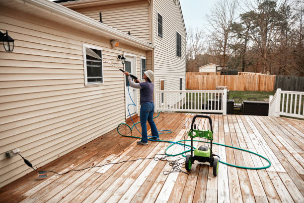 Best Pressure Washing Siding  in Beach Haven, NJ