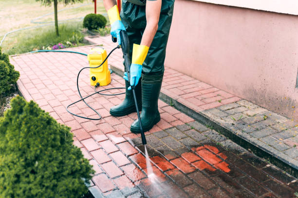 Best Roof Power Washing Services  in Beach Haven, NJ
