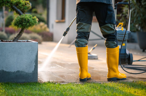 Best Pressure Washing Brick  in Beach Haven, NJ